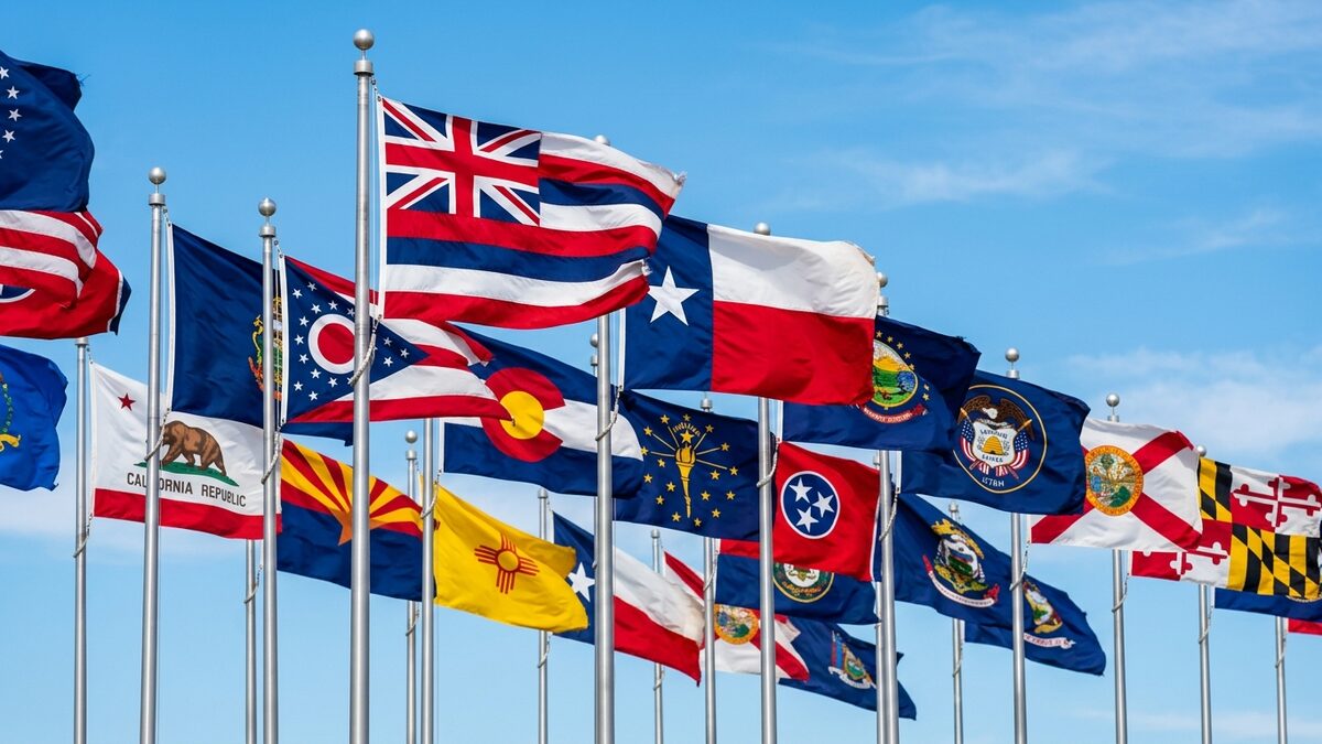 State flags, American flag elements